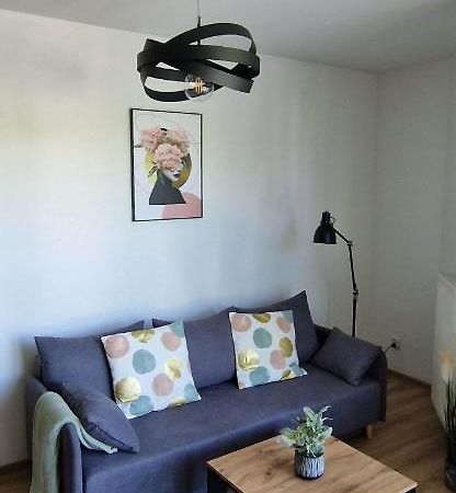 Cosy Apartment W Poblizu Tauron Arena كراكوفيا المظهر الخارجي الصورة
