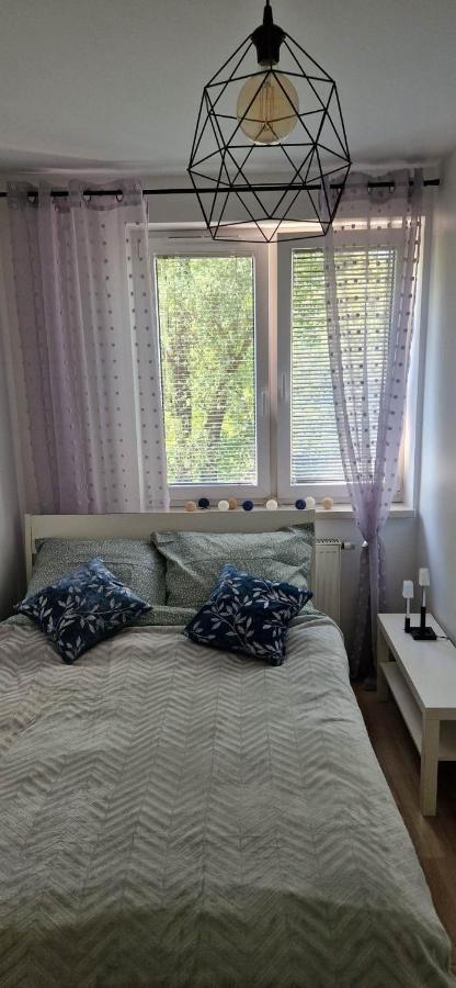 Cosy Apartment W Poblizu Tauron Arena كراكوفيا المظهر الخارجي الصورة