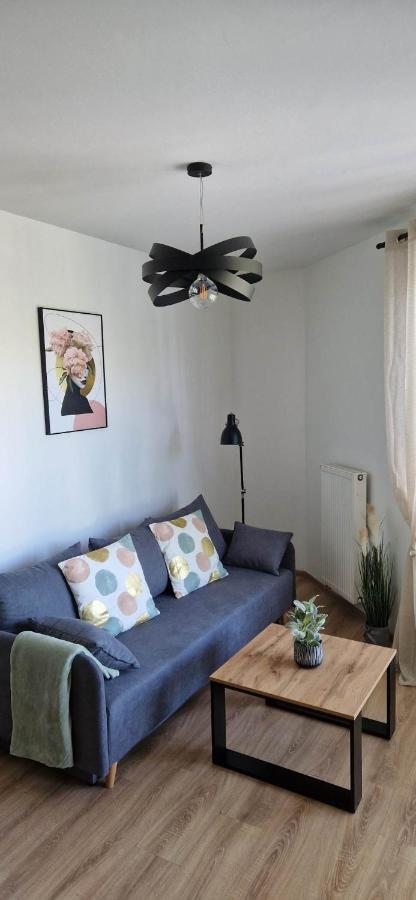 Cosy Apartment W Poblizu Tauron Arena كراكوفيا المظهر الخارجي الصورة